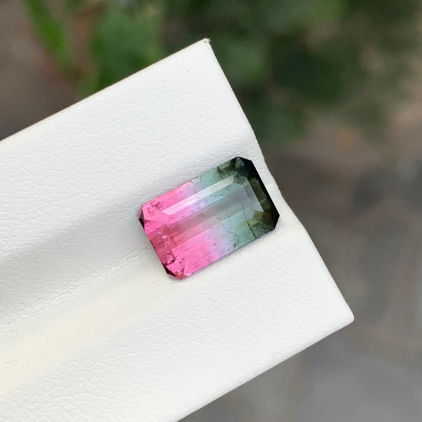 3.75 Carats Natural Loose Watermelon Tourmaline