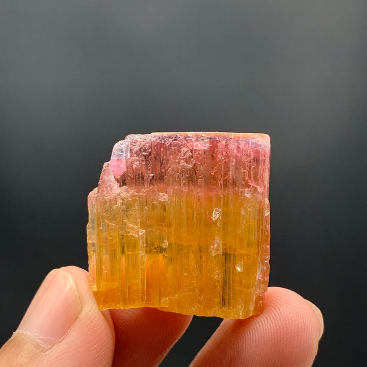 59.15 Carats Magnificent Bi-Color Tourmaline Crystal