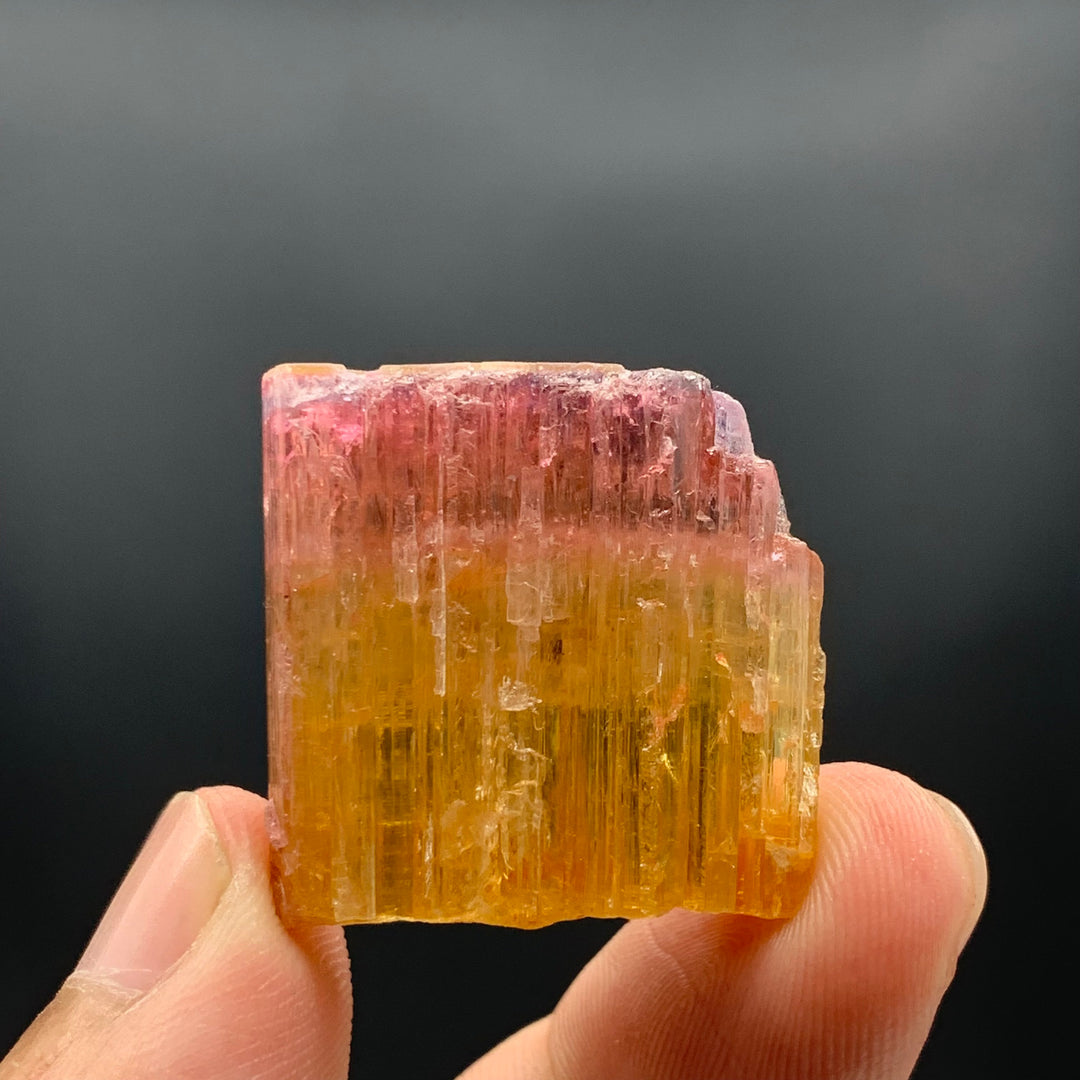 59.15 Carats Magnificent Bi-Color Tourmaline Crystal