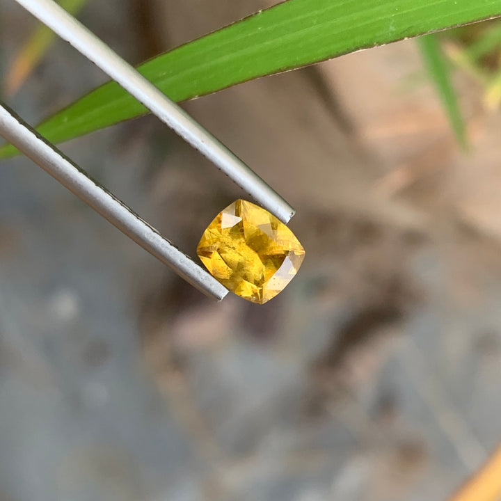 1.35 Carats Glamorous Natural Loose Fire Sphene