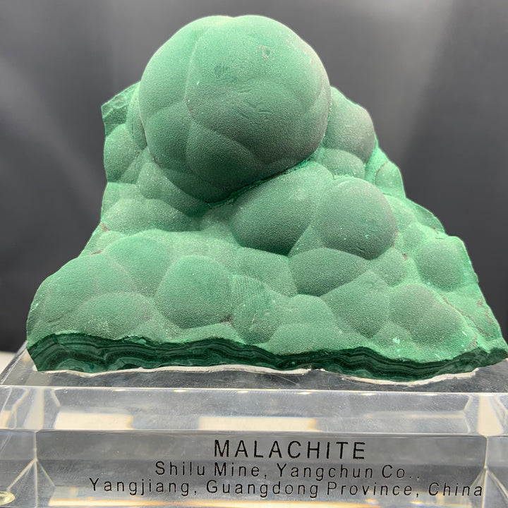 Pretty Forest Green Malachite - Glitter Gemstones