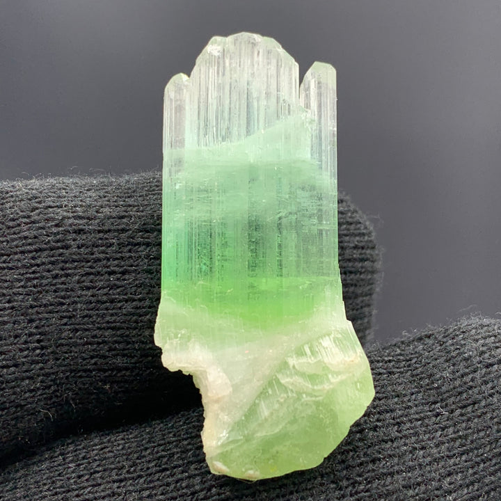 Gorgeous Bi Color Tourmaline Crystal - Glitter Gemstones