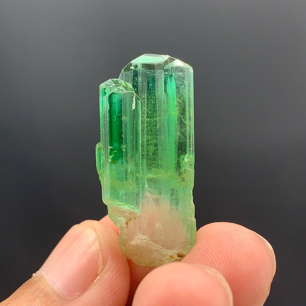 38.30 Carats Lovely Bi Color Tourmaline Crystal - Glitter Gemstones