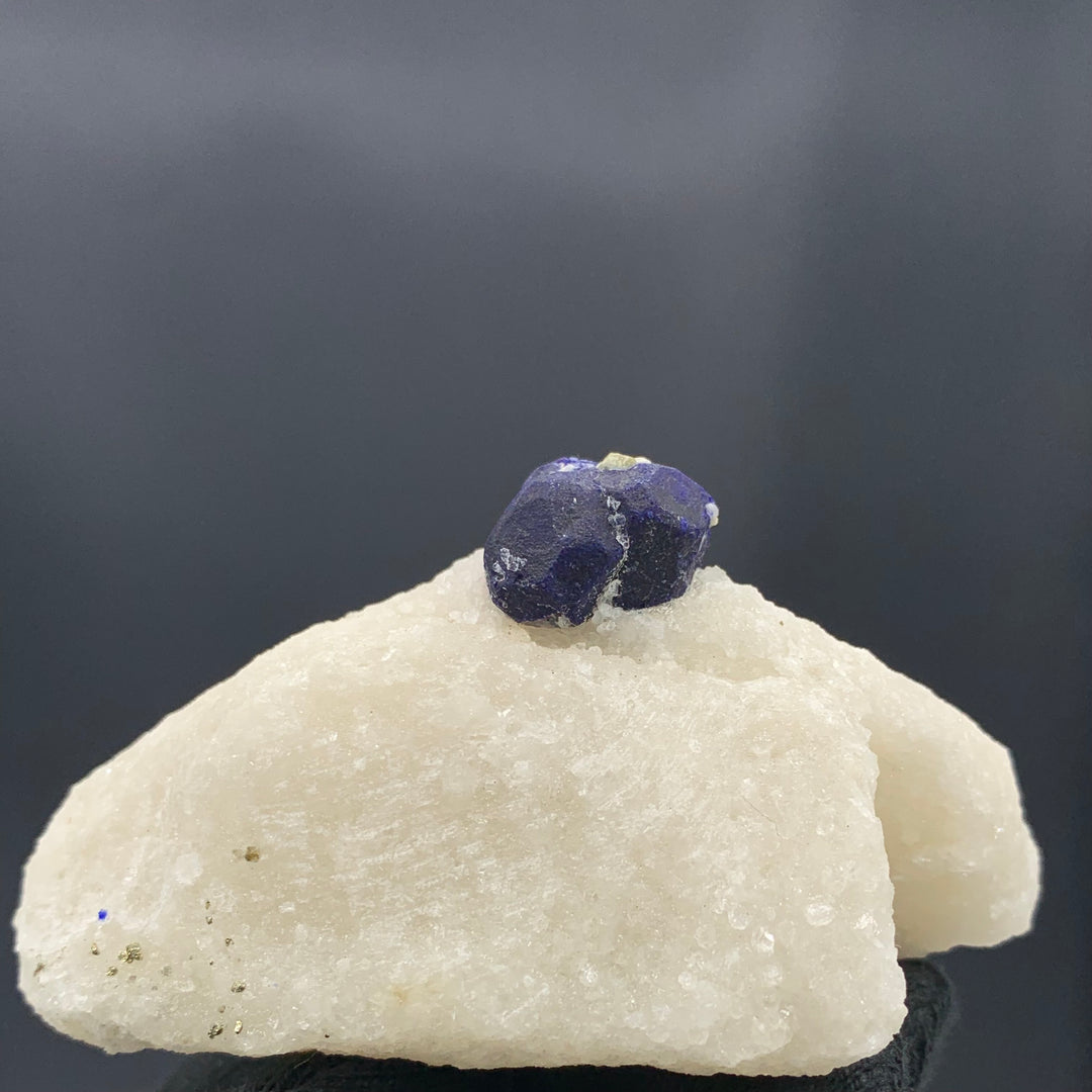 Gorgeous Isolated Lazurite Specimen On Creamy White Calcite Matrix - Glitter Gemstones