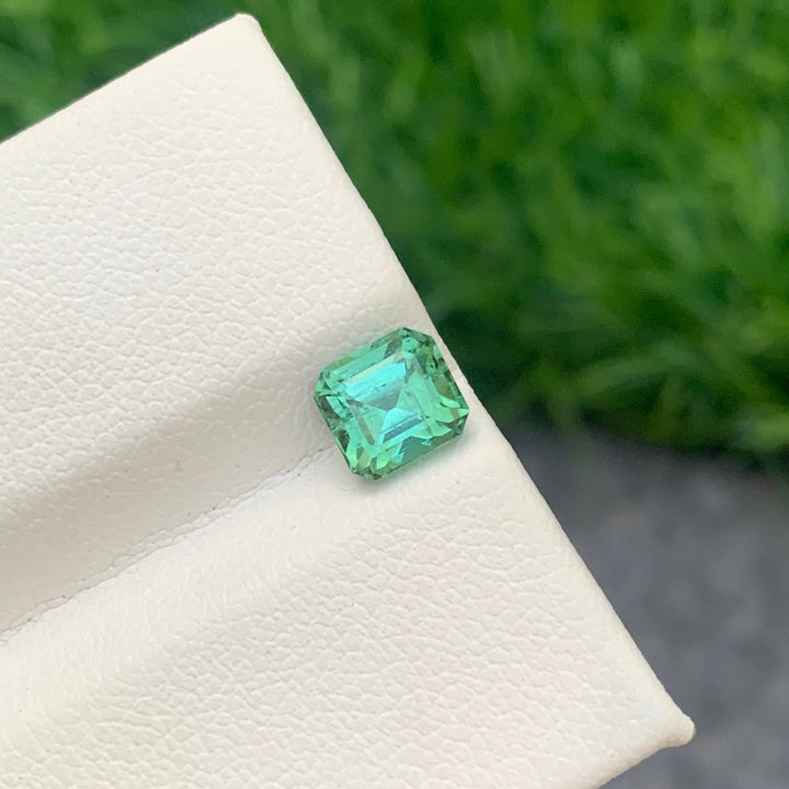 Ascher Cut Mint Green Tourmaline