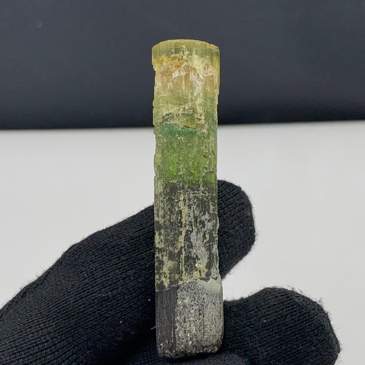 22.94 Grams Stunning Tri-Color Tourmaline Crystal