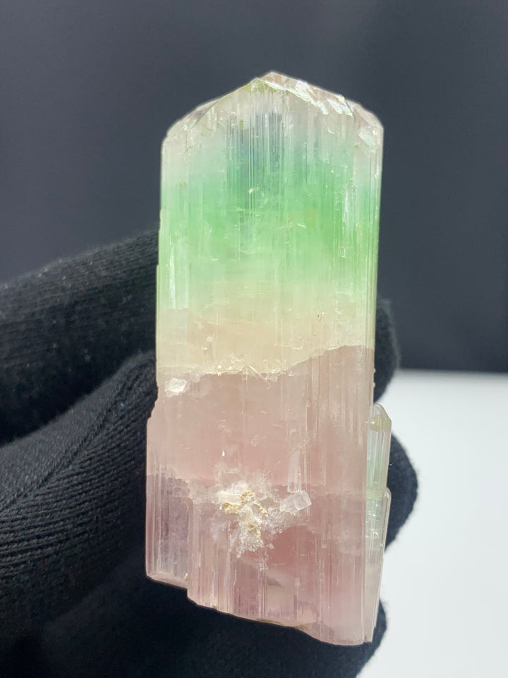 Bi Color Tourmaline Crystal