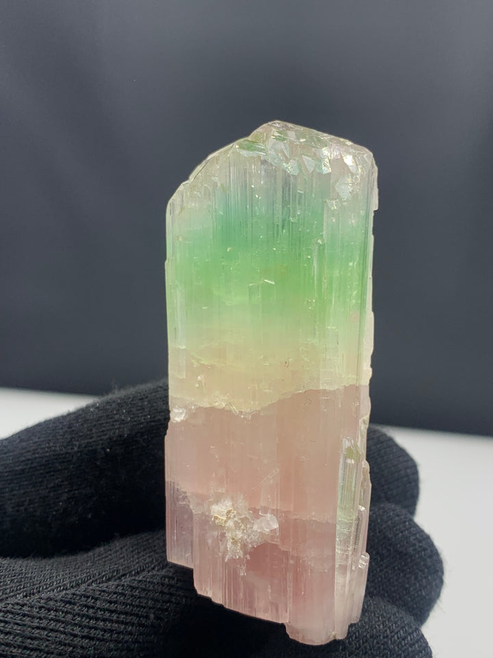 Bi Color Tourmaline Crystal