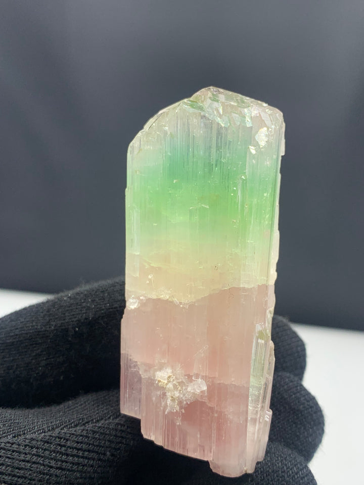 Bi Color Tourmaline Crystal