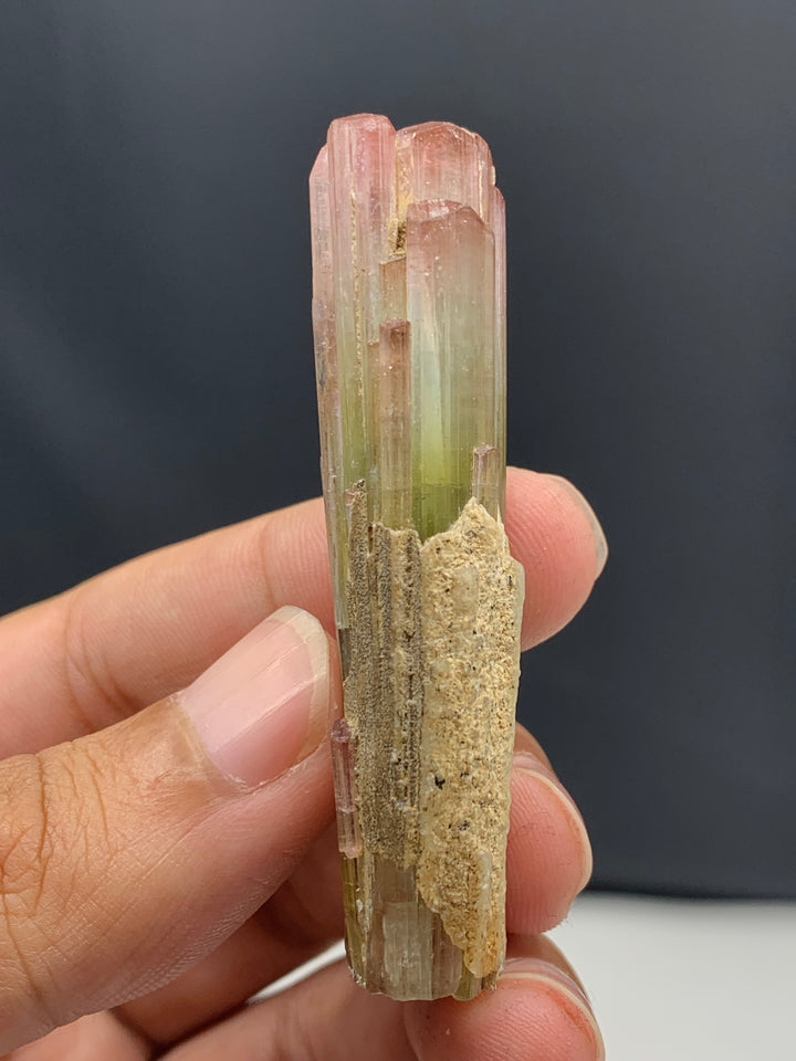 Tri-Color Tourmaline Crystal