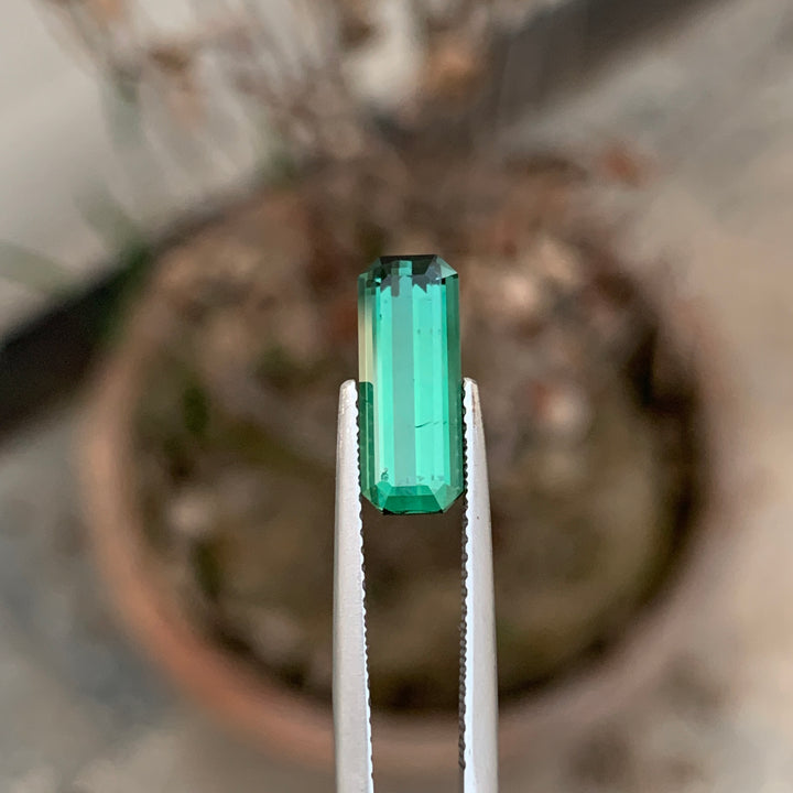 13.2 mm Long Magnificent Natural Loose Emerald Cut Green Tourmaline