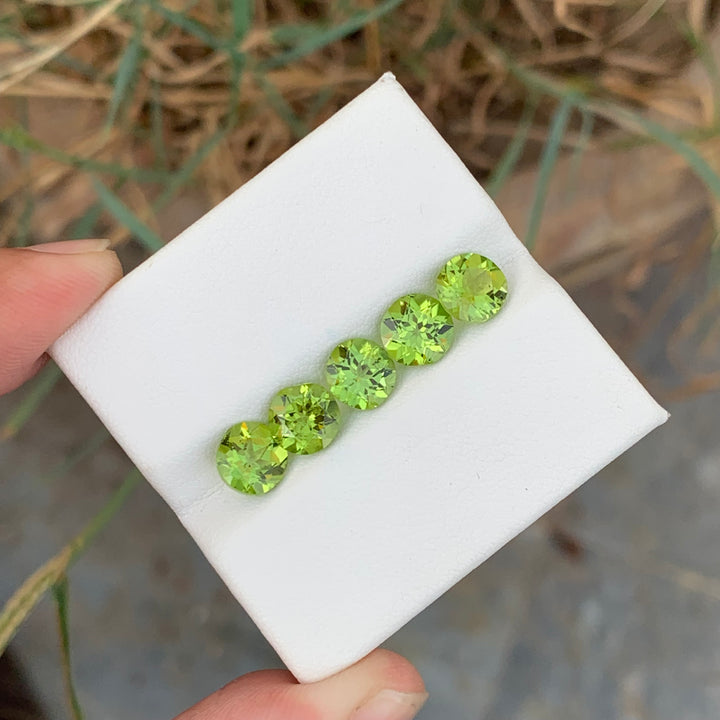 6.35 Carats Adorable Faceted Peridot Lot