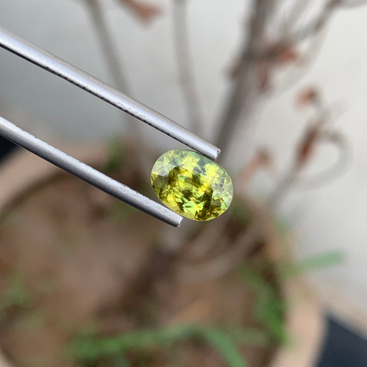 2.50 Carats Beautiful Natural Faceted Fire Sphene