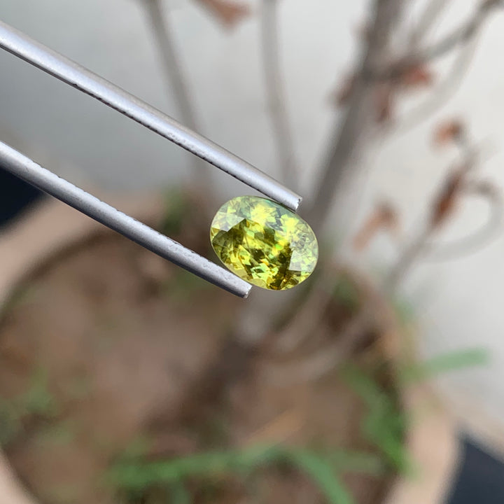 2.50 Carats Beautiful Natural Faceted Fire Sphene