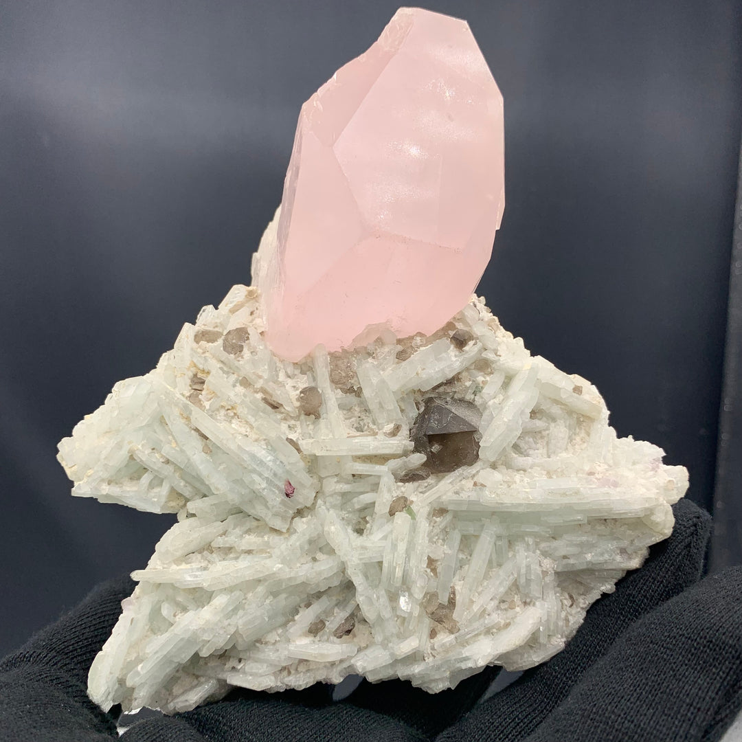 698 Grams Adorable Morganite Specimen On Cleavelandite