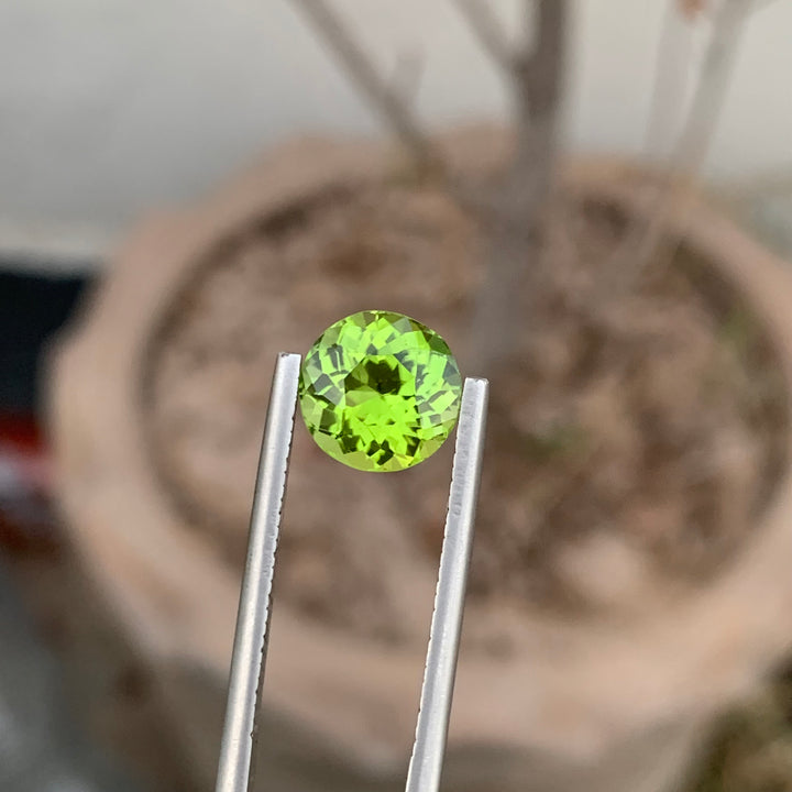 2.85 Carats Gorgeous Natural Loose Apple Green Peridot