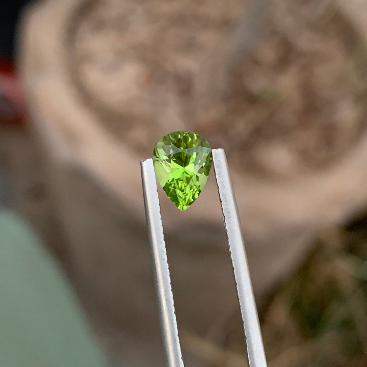 1.55 Carats Pretty Natural Loose Tear Shape Peridot