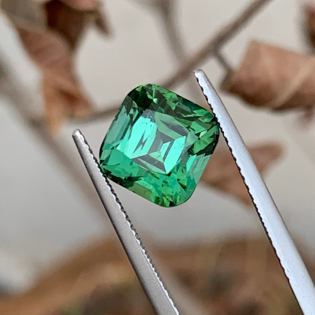 4.80 Carats Pretty Natural Faceted Tourmaline