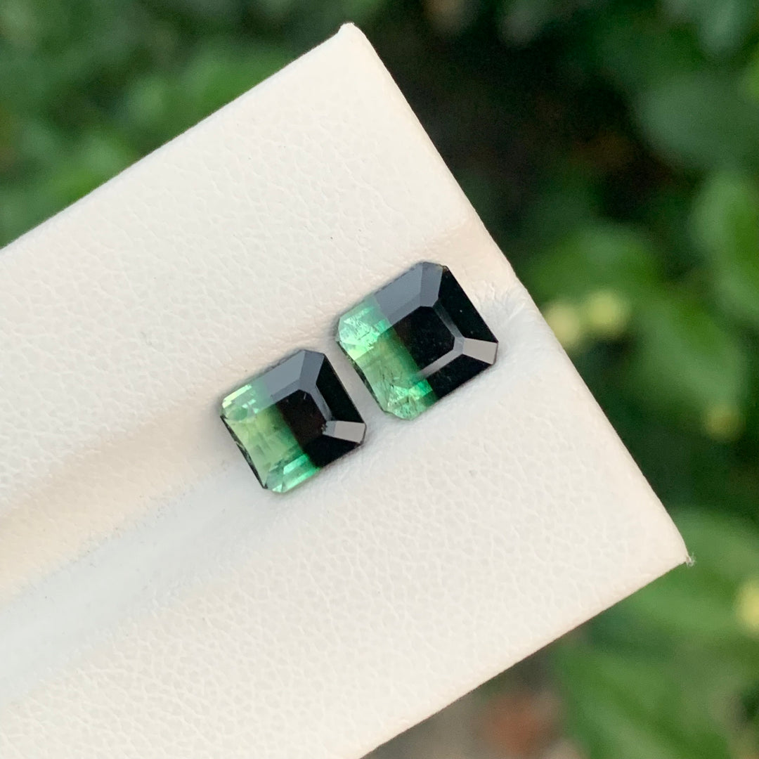 3.20 Carats Faceted Dual Bicolor Tourmaline Pieces