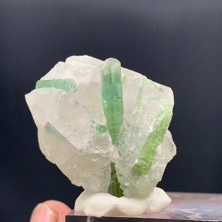 Gorgeous Green Tourmaline Crystal Cluster On Quartz Specimen