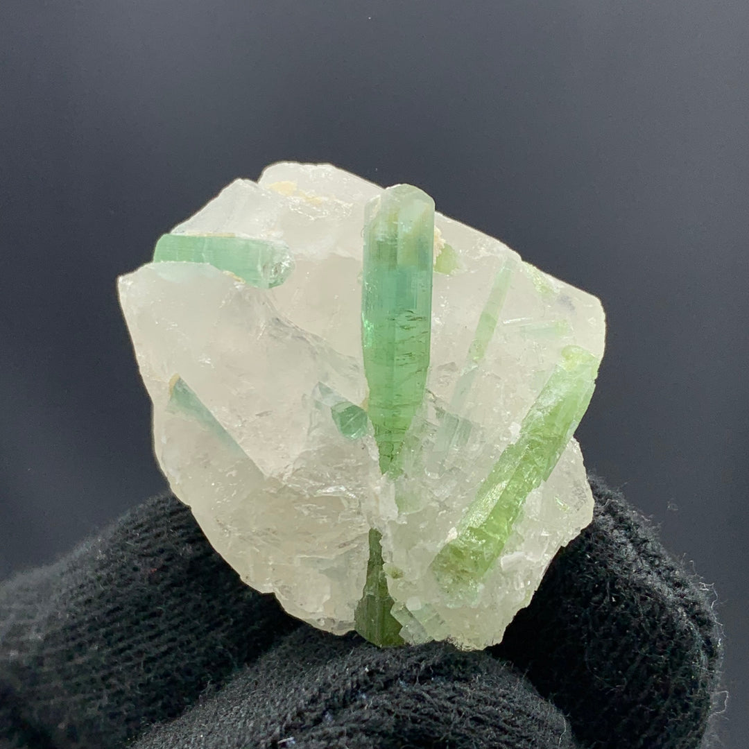 Gorgeous Green Tourmaline Crystal Cluster On Quartz Specimen