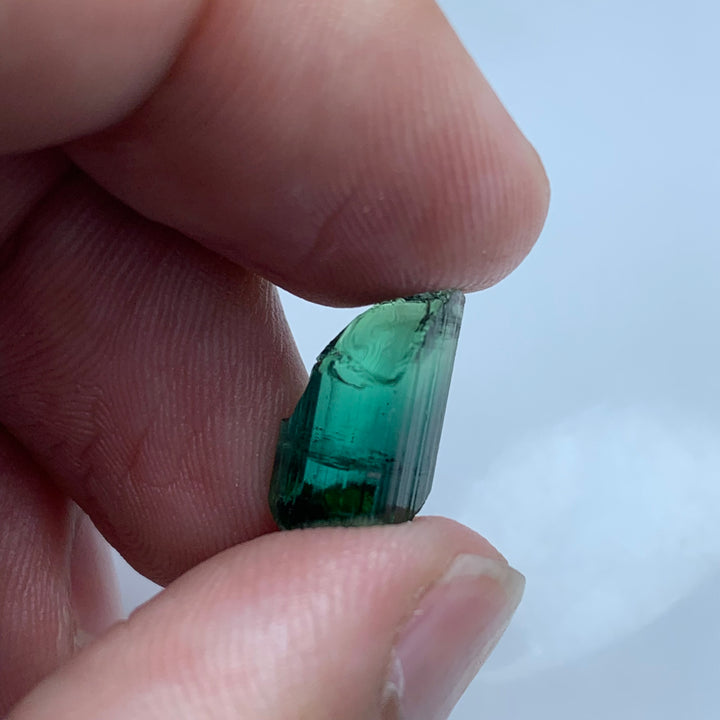 bicolor tourmaline