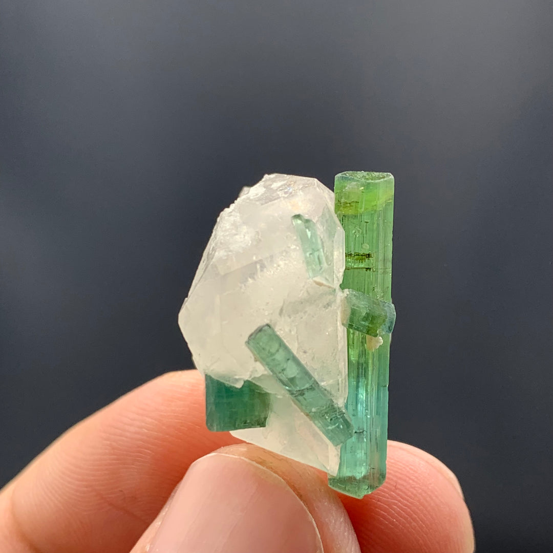 Elongated Bi Color Tourmaline Crystal Cluster On Quartz Specimen