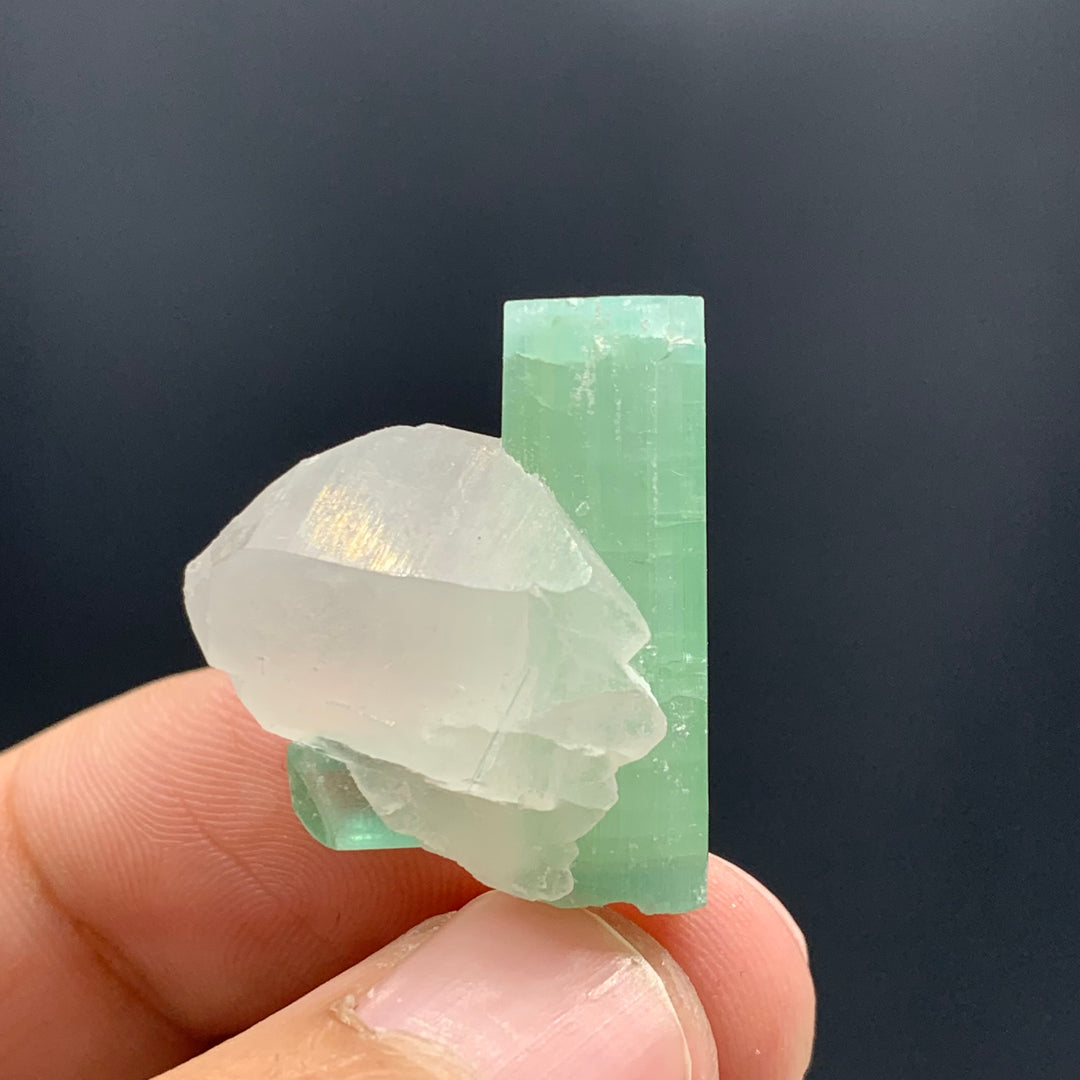 Gorgeous Dual Tourmaline Crystal On Quartz Specimen