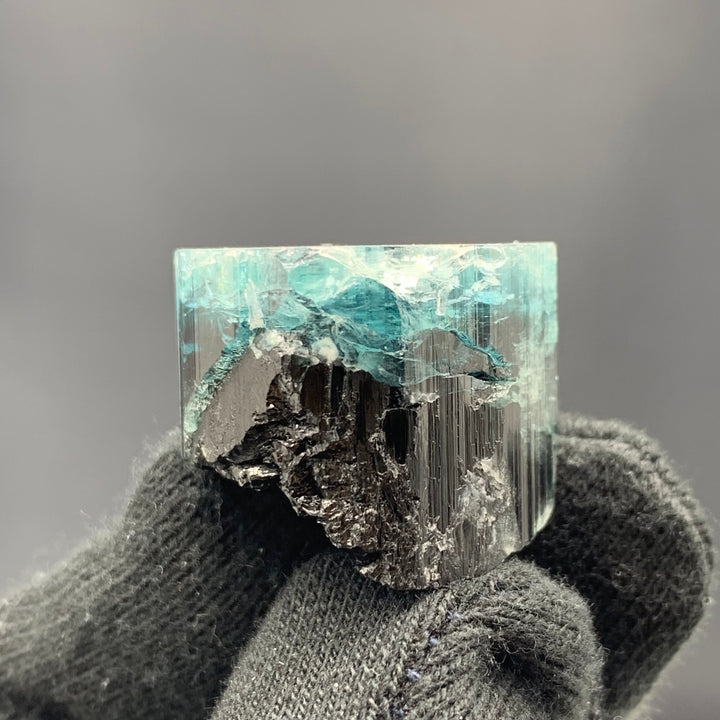 Tremendous Bi-Color Tourmaline Crystal From Kunar, Afghanistan