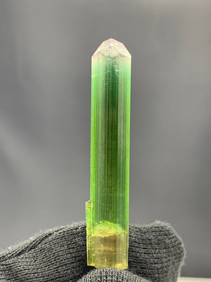 Fabulous Bi Color Tourmaline Crystal From Paprook Mine Afghanistan