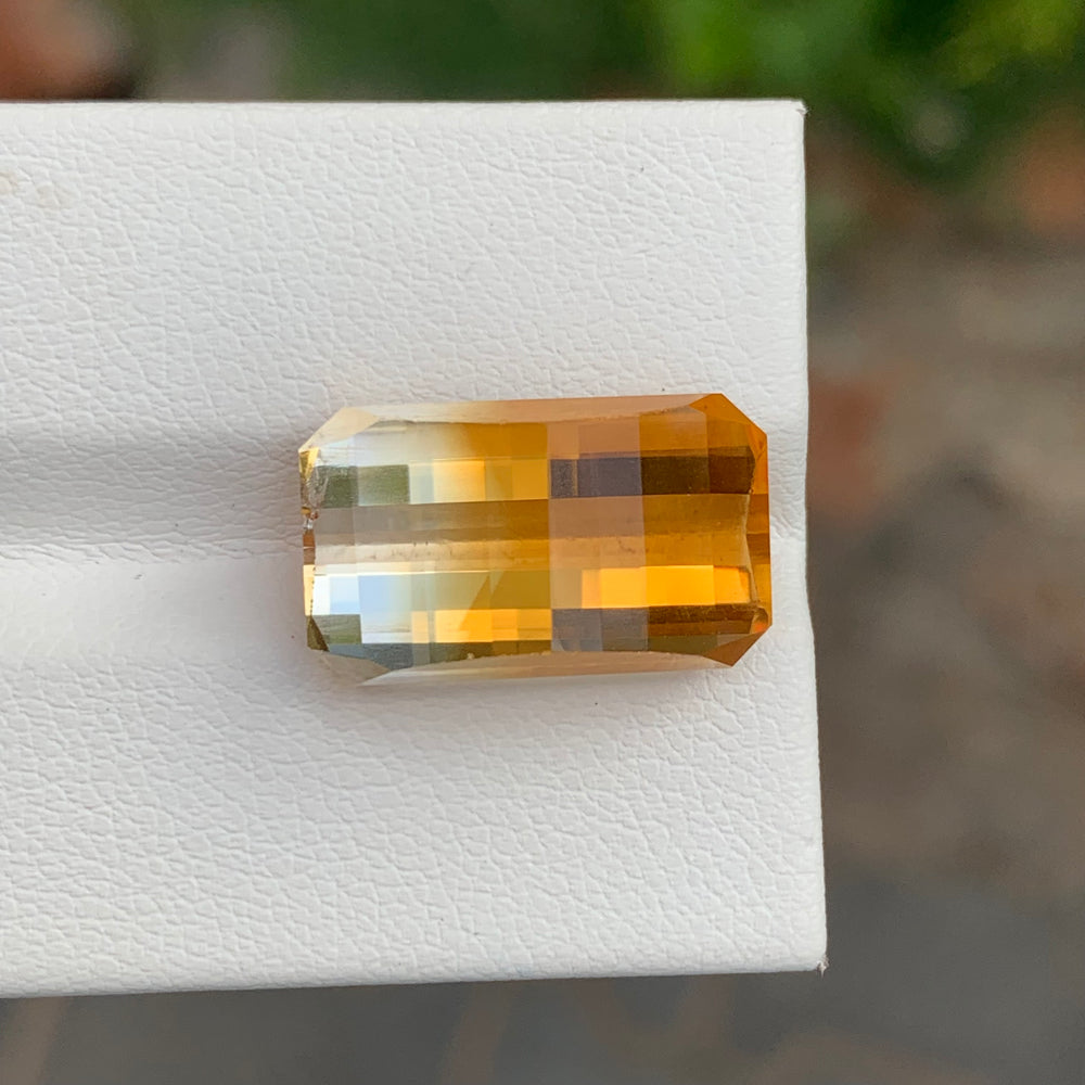 bicolor citrine