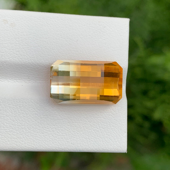 bicolor citrine