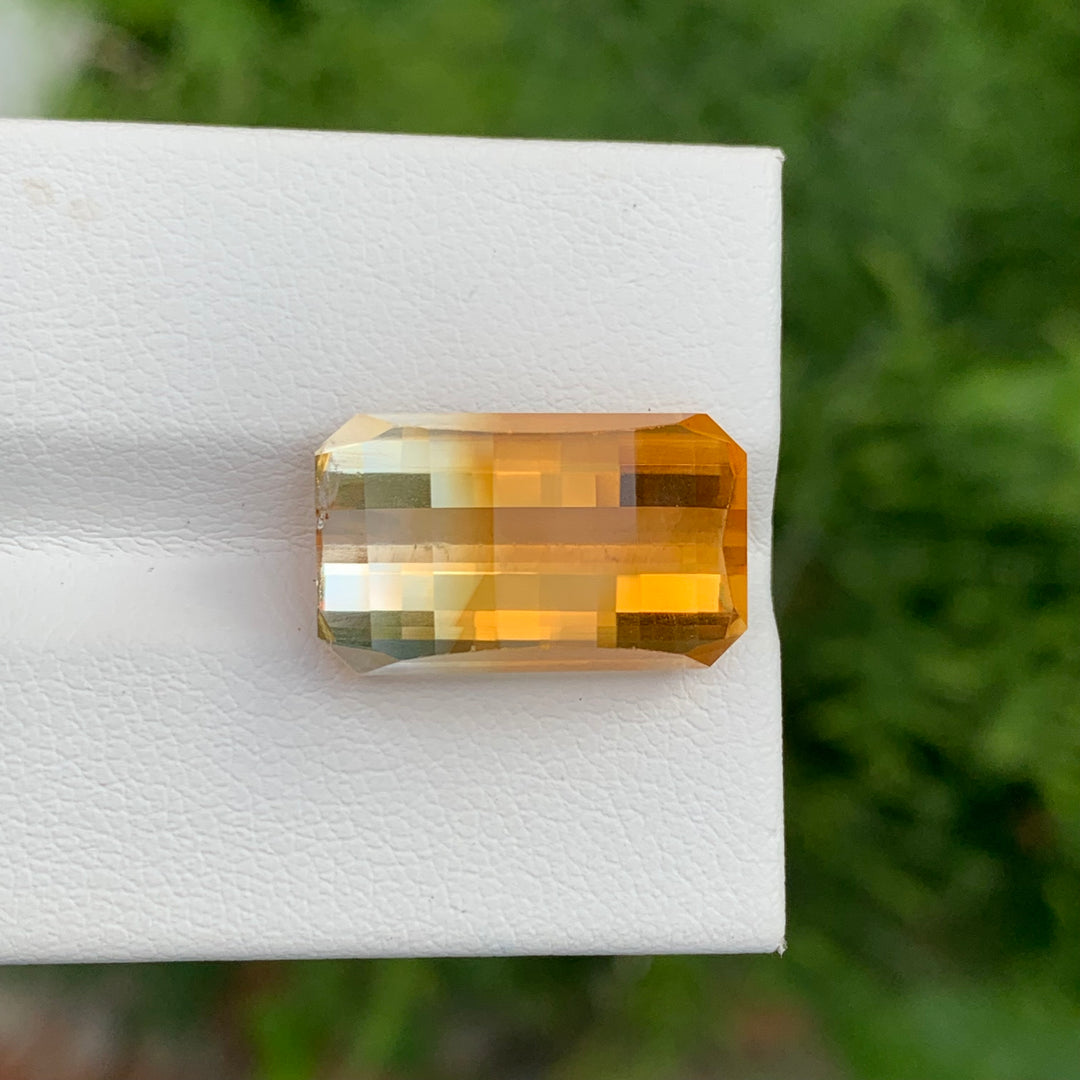 bicolor citrine