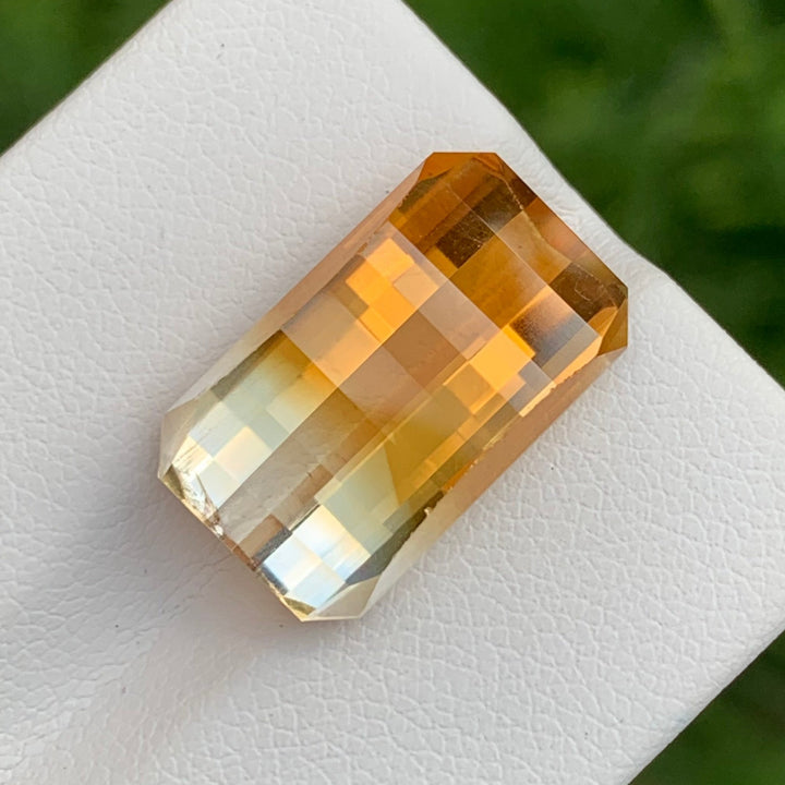 bicolor citrine