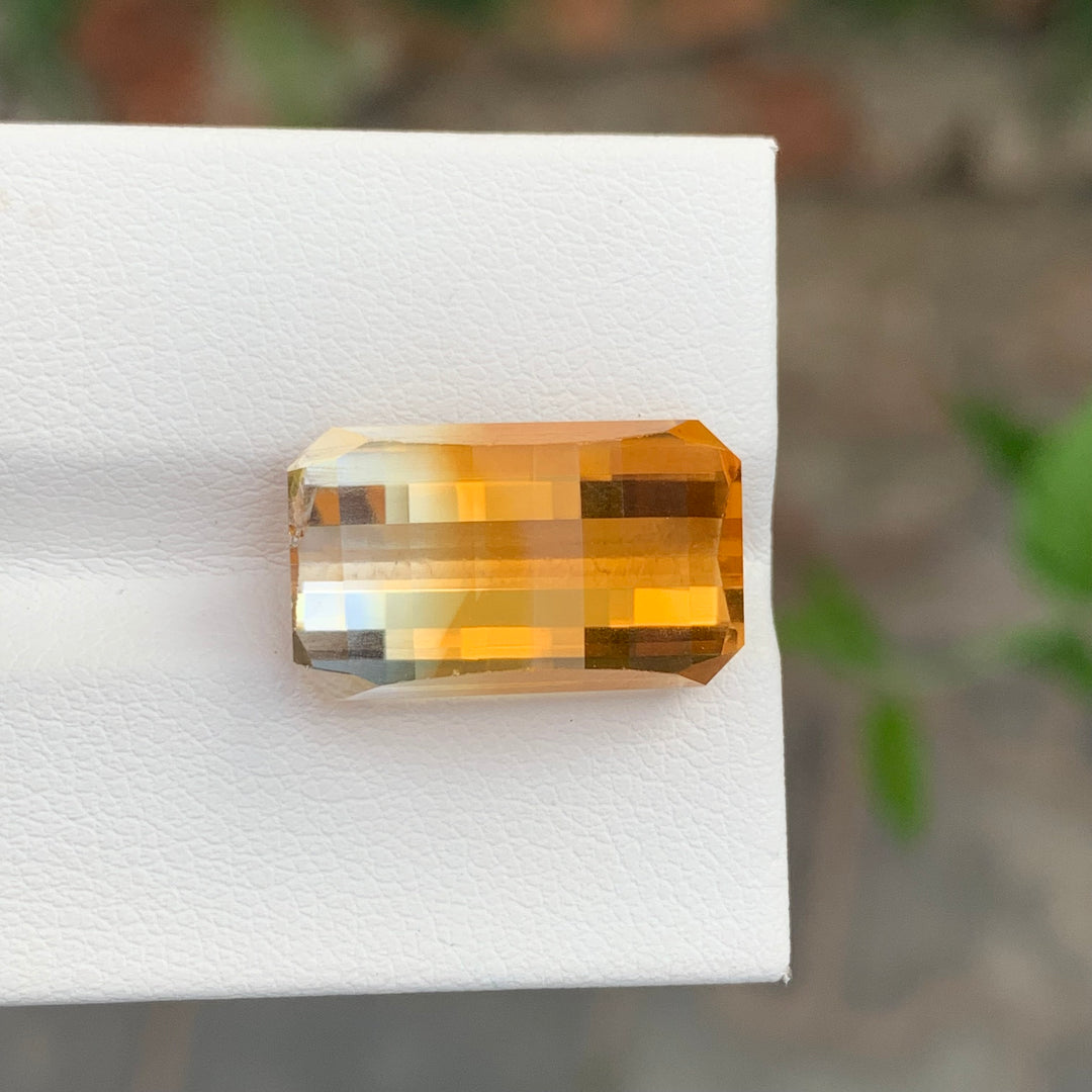 bicolor citrine