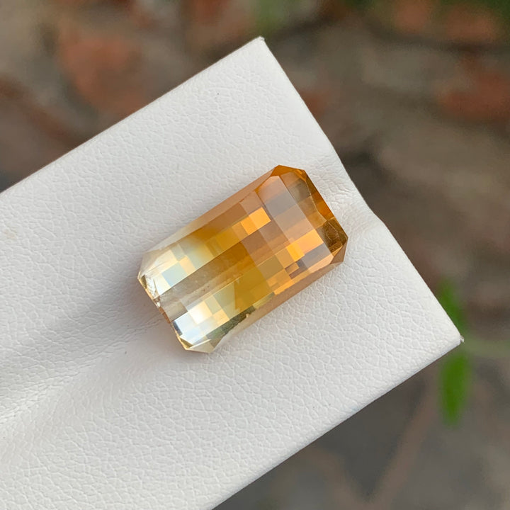 bicolor citrine