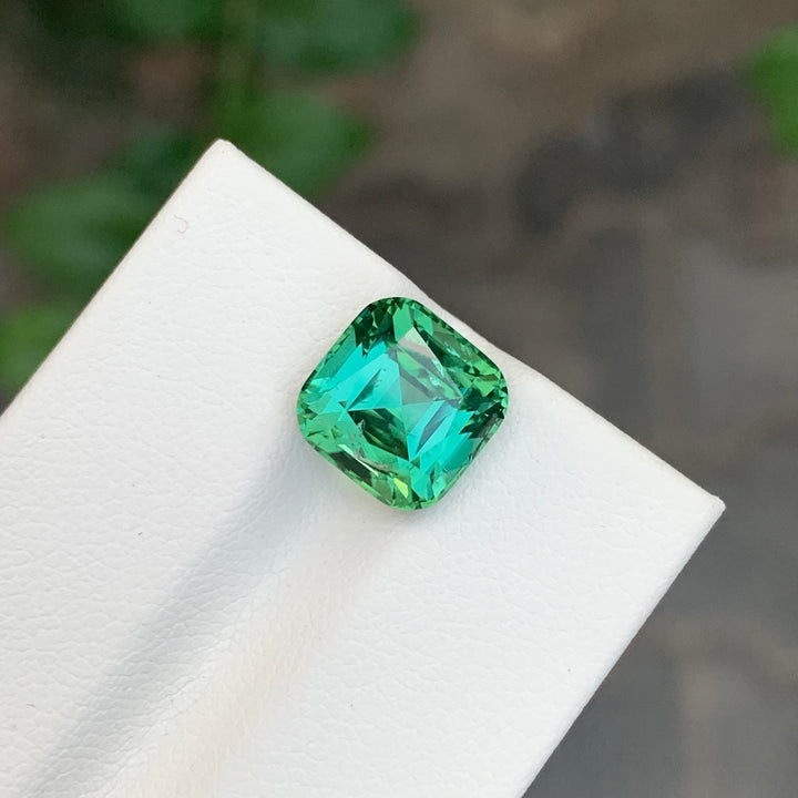 5.60 Carats Loose Green Tourmaline Lagoon Shade