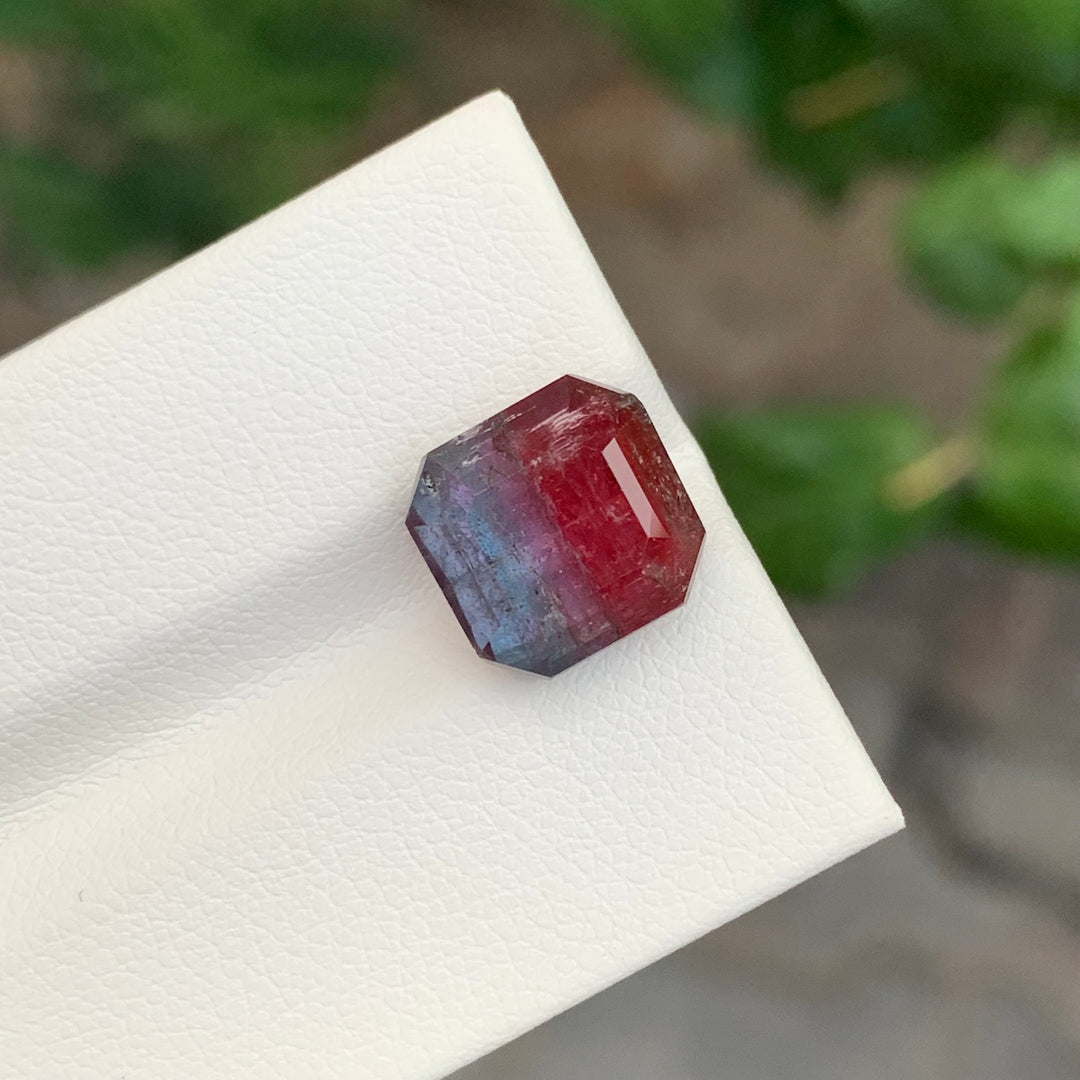 6.60 Carats Loose Bicolor Tourmaline Square Shape