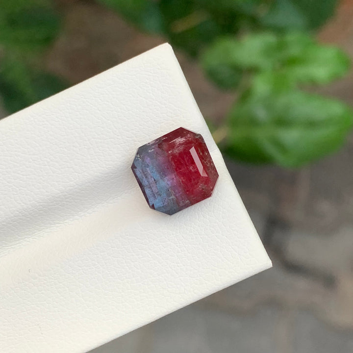 6.60 Carats Loose Bicolor Tourmaline Square Shape