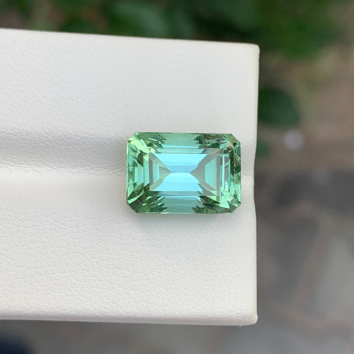 8.10 Carats Loose Tourmaline Emerald Cut