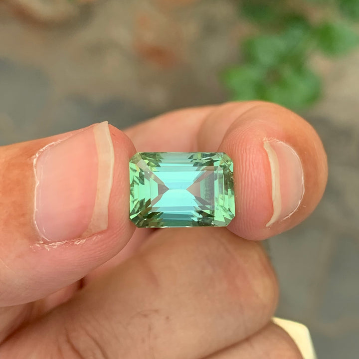 8.10 Carats Loose Tourmaline Emerald Cut