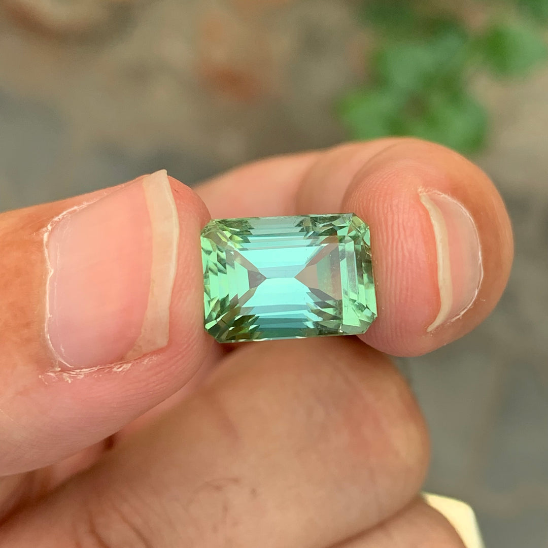 8.10 Carats Loose Tourmaline Emerald Cut