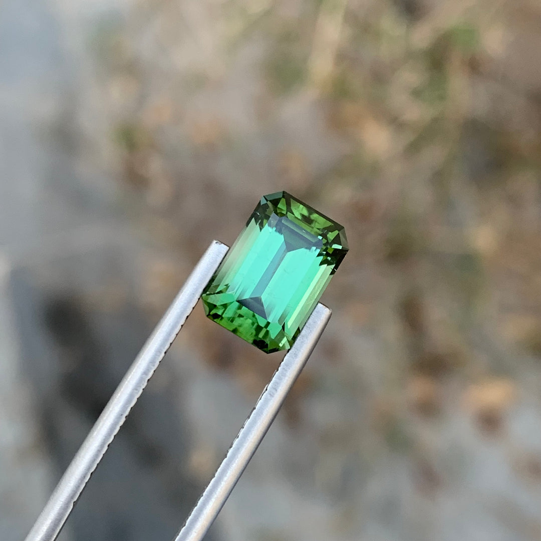 3.85 Carats Pretty Natural Loose Emerald Shape Green Tourmaline