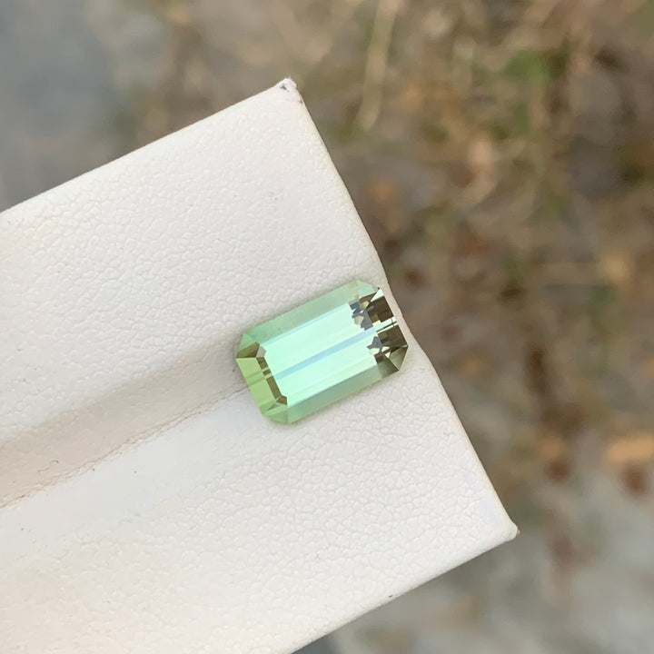6.05 Carats Tremendous Natural Faceted Emerald Shape Mint Color Tourmaline