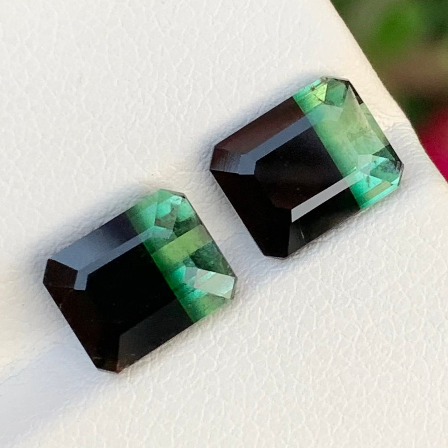 Bicolor Tourmaline