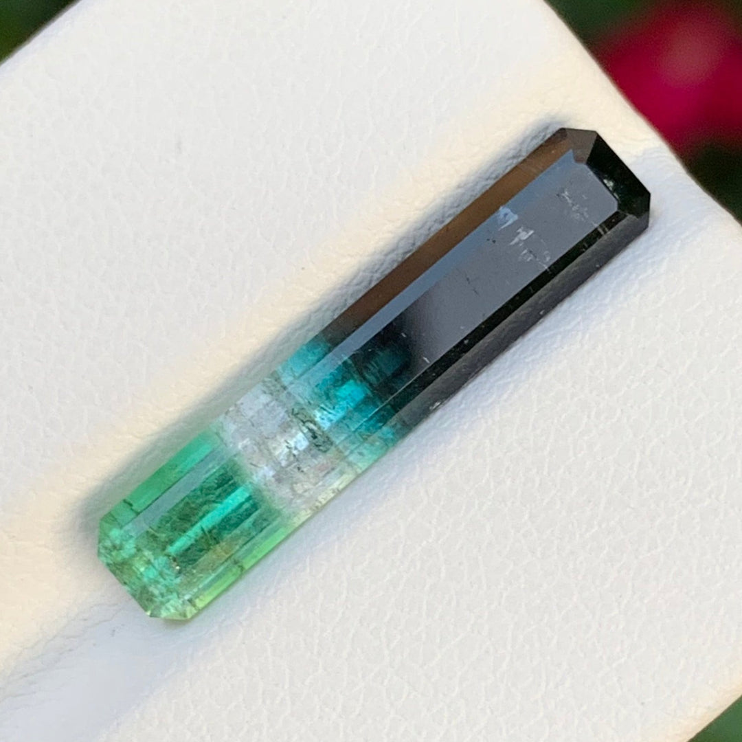 tetra tourmaline