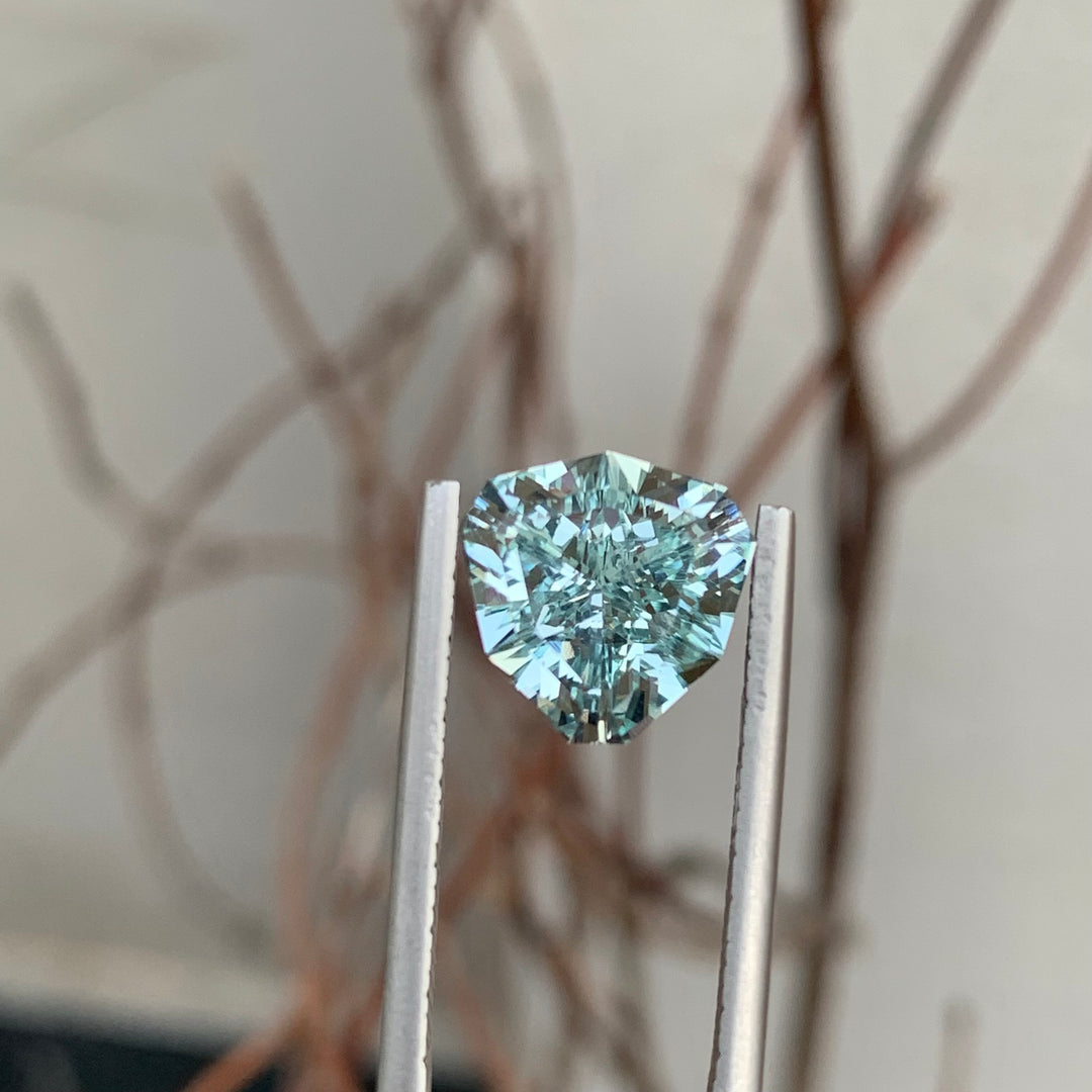 3.80 Carats Pretty Faceted Trilliant Shape Aquamarine