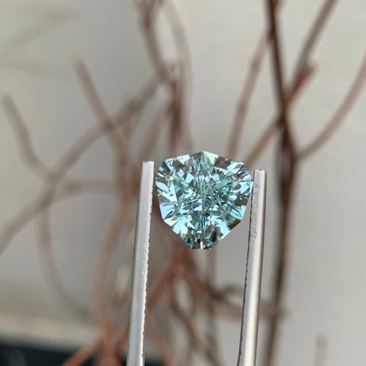 3.80 Carats Pretty Faceted Trilliant Shape Aquamarine