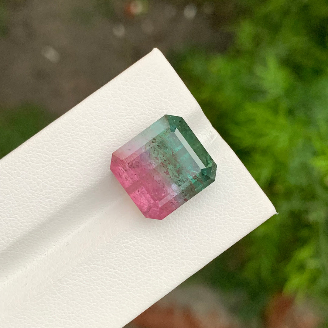 bicolor tourmaline