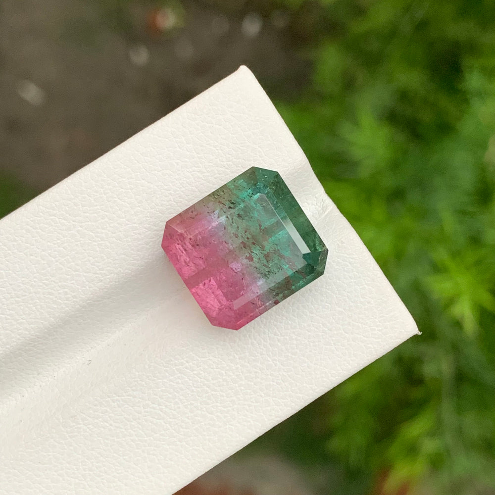 bicolor tourmaline